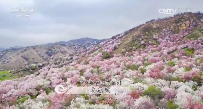 紀錄片里的中國，每一幀都美到讓人想唱國歌