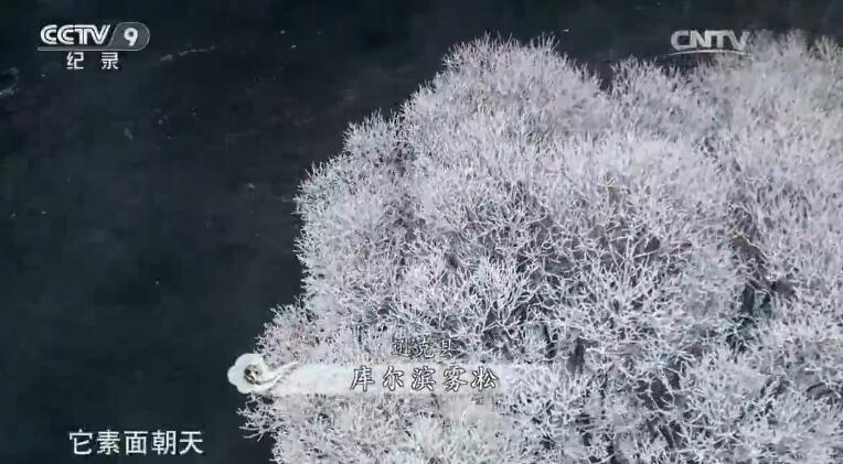 紀錄片里的中國，每一幀都美到讓人想唱國歌