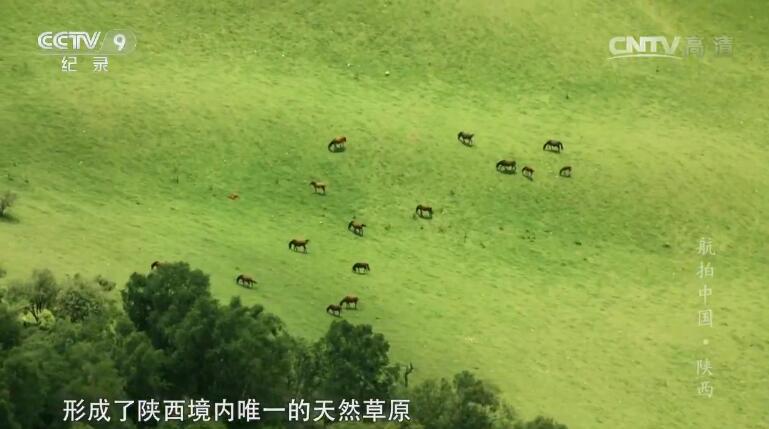 紀錄片里的中國，每一幀都美到讓人想唱國歌