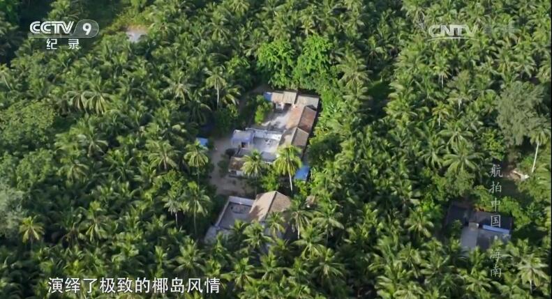 紀錄片里的中國，每一幀都美到讓人想唱國歌