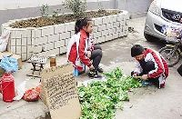 小學(xué)生兄妹賣菜救母 閑暇時(shí)書(shū)本不離手