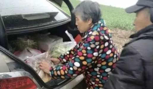 滿滿“故鄉(xiāng)味”，讀懂父母愛