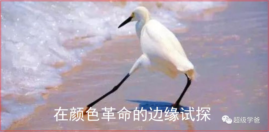 伊朗形勢大逆轉(zhuǎn)，到了顏色革命的邊緣