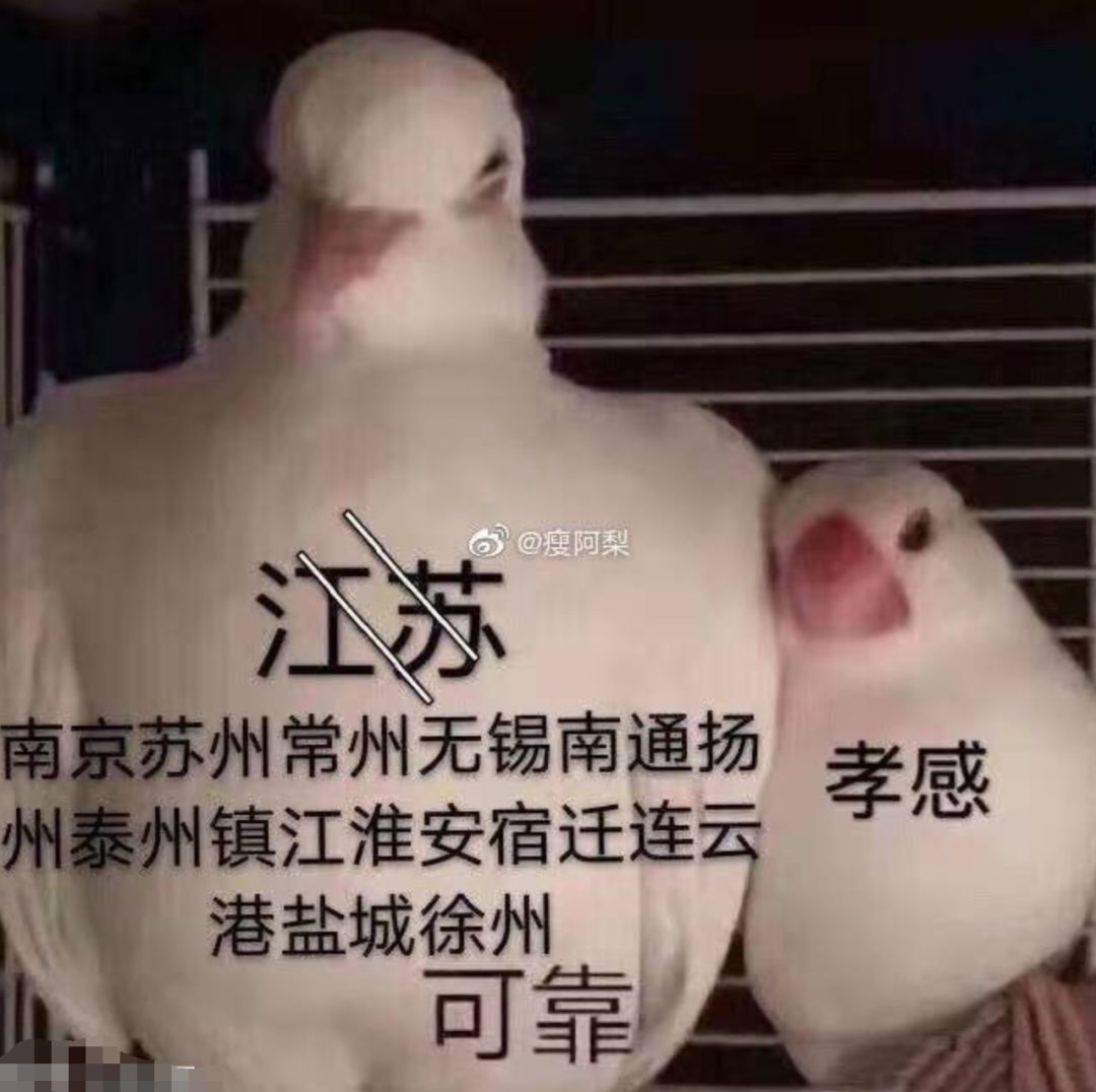“散裝”的江蘇，也是中國的江蘇！