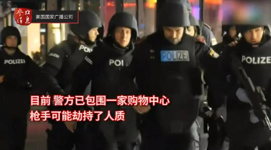 維也納恐襲案細(xì)節(jié)曝光！多名全副武裝襲擊者仍在逃