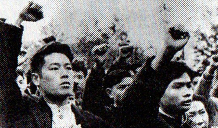 抗美援朝中，豬鬃何以成為“對(duì)美帝斗爭(zhēng)的重要武器之一”