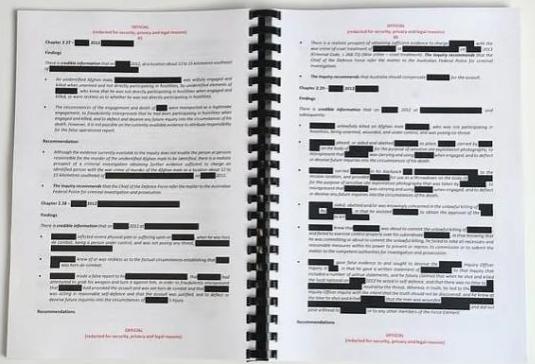 被刪除了50頁關(guān)鍵內(nèi)容的調(diào)查報告局部。