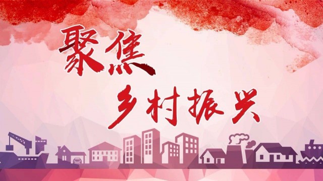 建強黨員隊伍建設，當好鄉(xiāng)村振興領路人