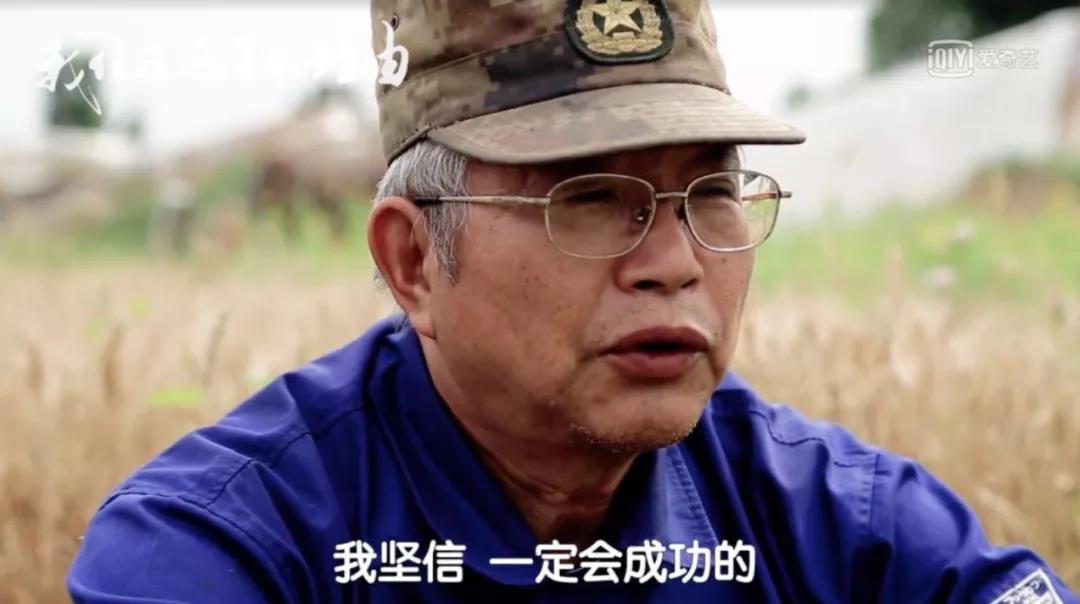 日本“堆糞仙人”？