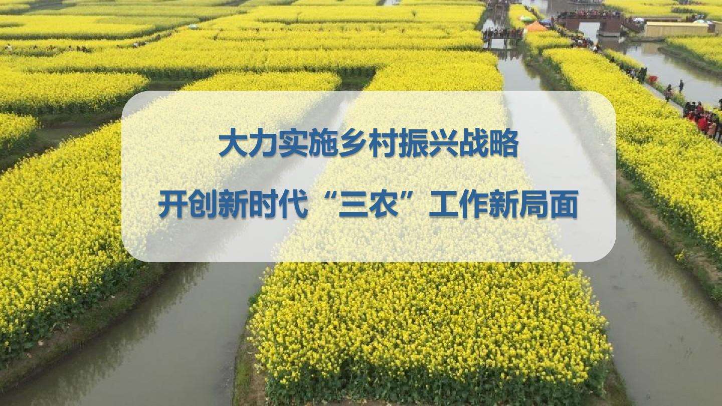 奮力譜寫鄉(xiāng)村振興新篇章 不斷開創(chuàng)“三農(nóng)”工作新局面