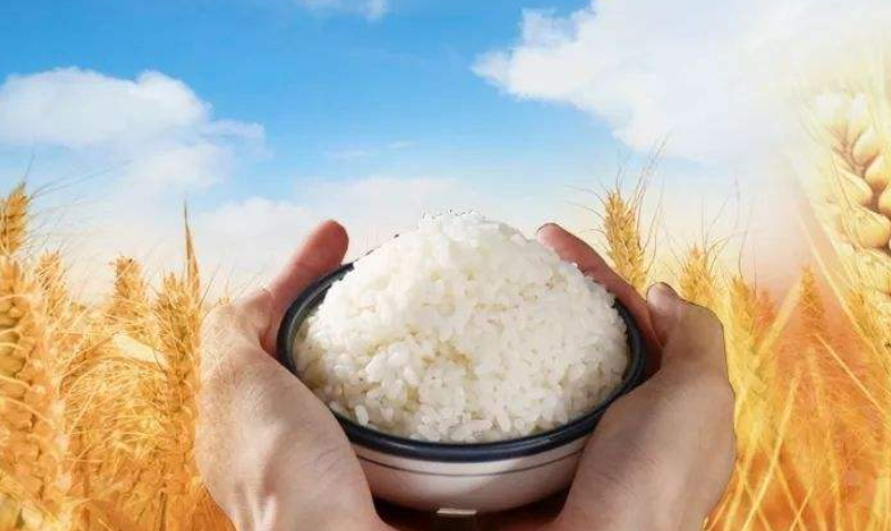 貫徹中央一號(hào)文件，端好全體國民飯碗
