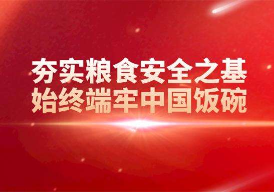 繃緊糧食安全之弦  踐行“國之大者 ”