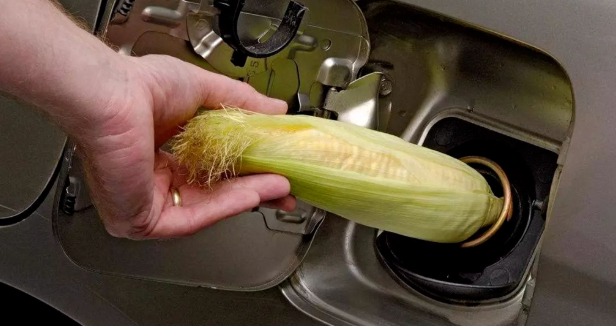 全球糧荒，美國放火燒糧？