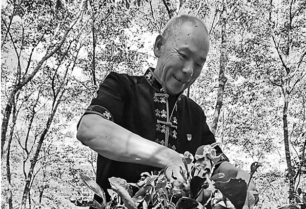 全國(guó)“最美退役軍人”王柏和：帶領(lǐng)家鄉(xiāng)群眾走上致富路