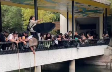 成都動物園工作人員向游客索取500元撈手機？真相來了