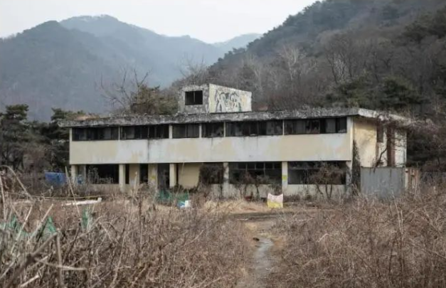 “她們被獻(xiàn)給美國大兵”