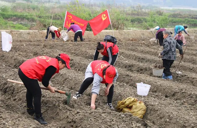 爭當(dāng)“根系干部” 盛開“為民之花”