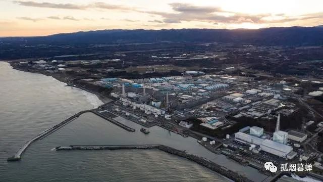 福島幼兒園門口的草地，輻射超標(biāo)十幾倍