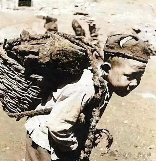 黨人碑：星火燎原，革命之路并不只有浪漫